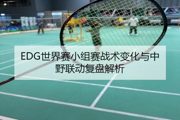 EDG世界赛小组赛战术变化与中野联动复盘解析